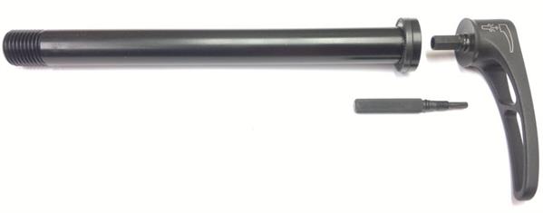RWS 15 x 110 boost für DT Swiss F 535 One Gabel mit integriertem Torx T 10