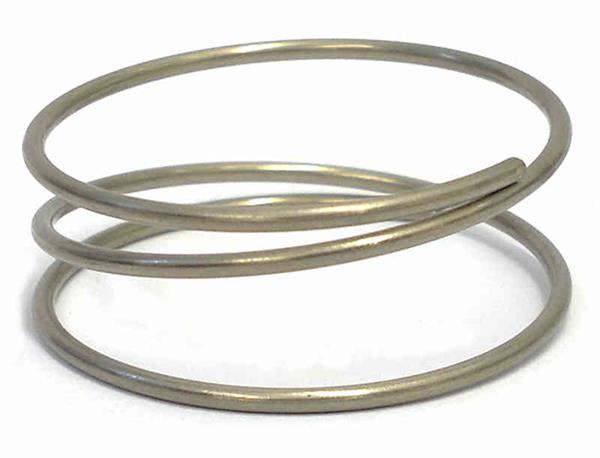 Spring Ratchet DT Swiss EXP Spring Ratchet DT Swiss EXP