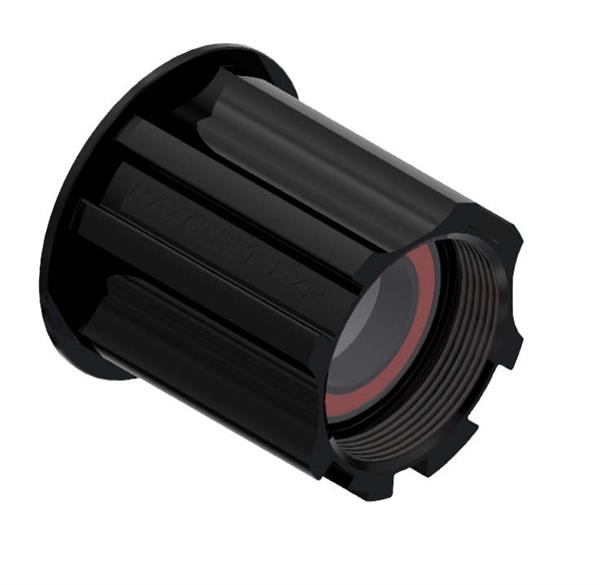 DT Swiss Rotor Ratchet EXP Campagnolo