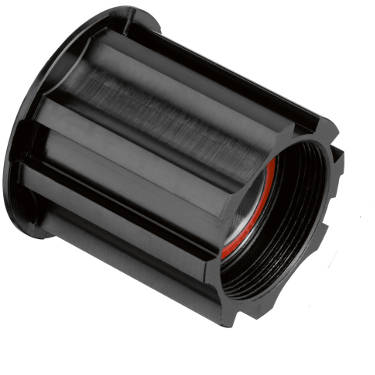 DT Swiss Freilaufkörper Zahnscheibe Campagnolo